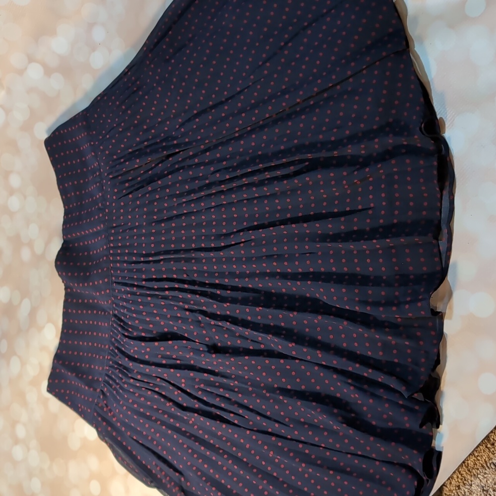 The Limited lined full pleated skirt